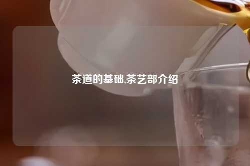 茶道的基础,茶艺部介绍