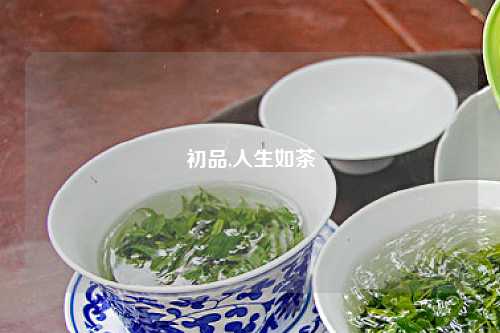 初品,人生如茶