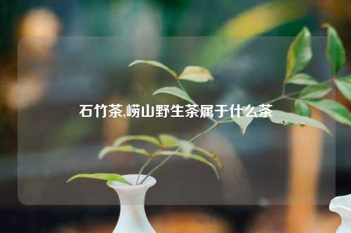 石竹茶,崂山野生茶属于什么茶