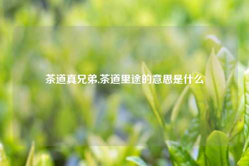 茶道真兄弟,茶道里途的意思是什么