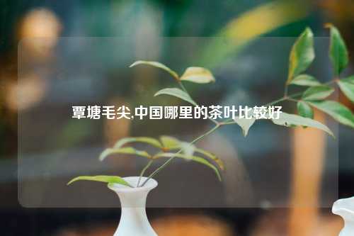 覃塘毛尖,中国哪里的茶叶比较好