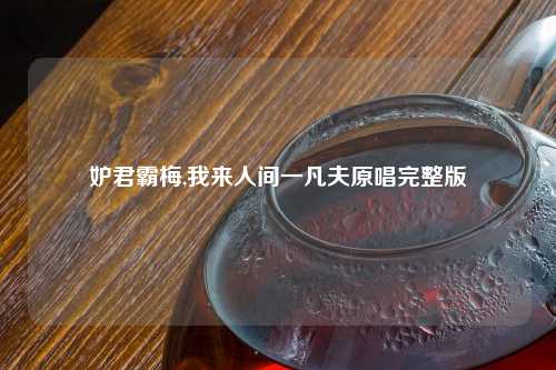 妒君霸梅,我来人间一凡夫原唱完整版